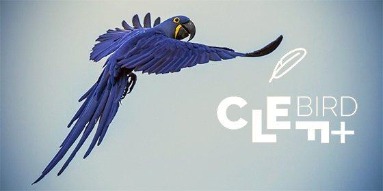 Competition Launch: BirdCLEF+ 2026